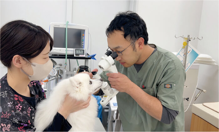OneVet通信_vol.3