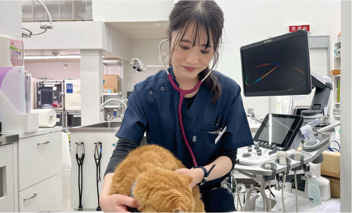 OneVet通信_vol.3